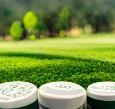 golfers cbd capsules on a green field